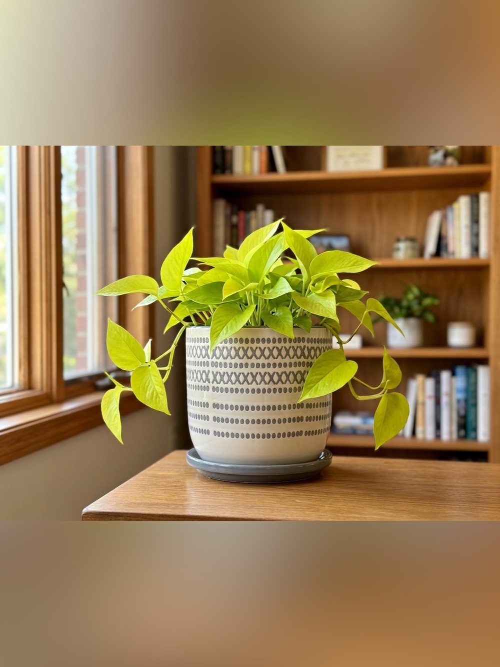 White Gray Ceramic Planter with Saucer 6 Inch Indoor Outdoor Pot Drainage